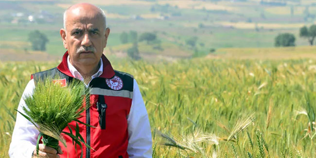 Bakan Kirişci: Buğdayda 21 milyon ton rekolte bekliyoruz