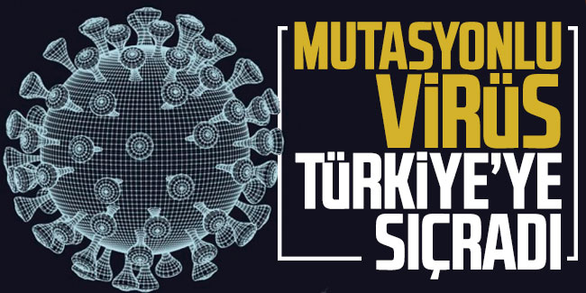 Mutasyonlu korona virüs Türkiye’ye de sıçradı 