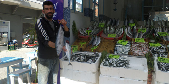 Marmara'da sıcaklık düşünce balık fiyatları geriledi