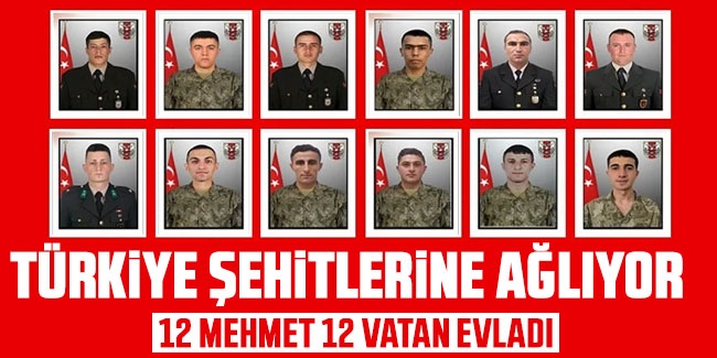 Türkiye'nin 12 kahraman şehidi...