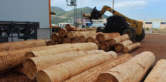 Mobilya, kağıt ve orman ürünlerinin 7 aylık ihracatı 4,5 milyar doları aştı!