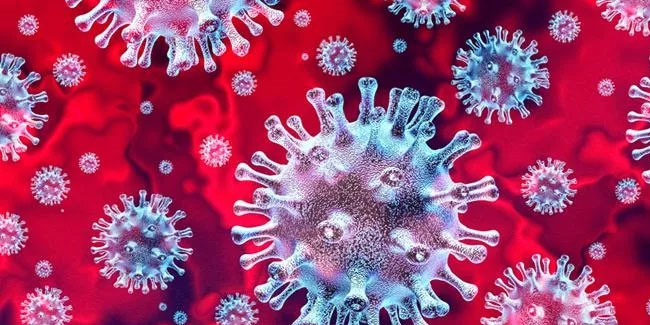 Kabus Çin'e geri döndü! İki yeni korona virüs çeşidi tespit edildi