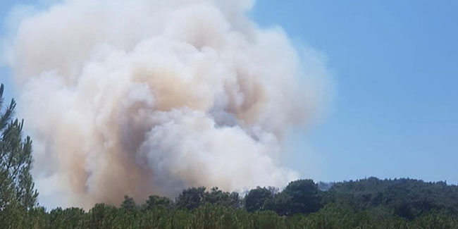 Türkiye alev alev! 5 ilde orman yangını çıktı