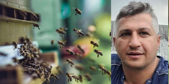 Trabzon'da arının soktuğu kişi hayatını kaybetti