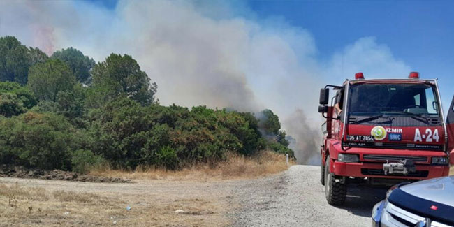 İzmir'de iki ayrı noktada orman yangını: Ekipler görevde