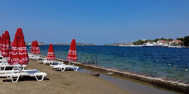 İzmir Foça'da turizmi denizanası vurdu, plajlar boş kaldı!