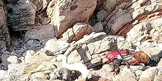 Bodrum'da Türk bayraklarını kontrol eden ekipler can yelekli erkek cesedi buldu