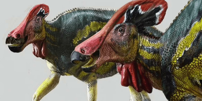 Meksika’da 73 milyon yıl önce yaşayan farklı bir dinozor türünün kalıntılarına rastlandı