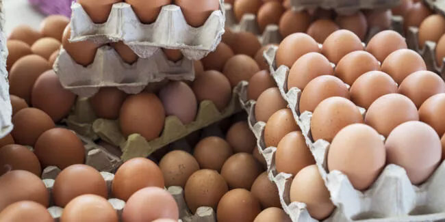 Rekabet Kurumu yumurta sektörüne soruşturma başlattı