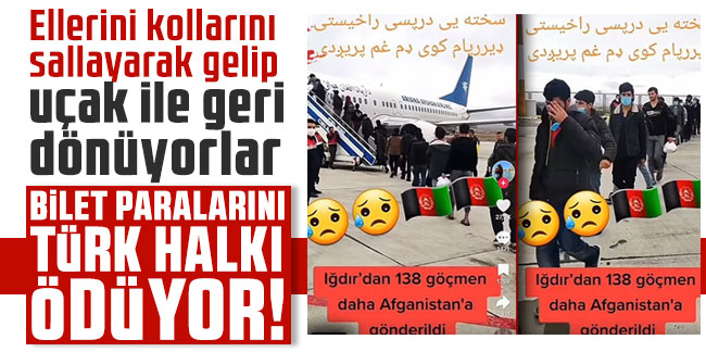 Ellerini kollarını sallayarak gelip uçak ile geri dönüyorlar! Bilet paralarını Türk halkı ödüyor