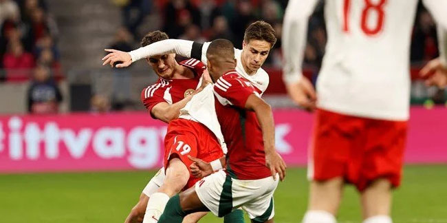 Macaristan: 1 - Türkiye: 0