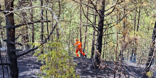 Karabük’te ormanlık alandaki yangın büyümeden söndürüldü
