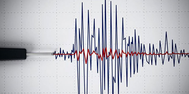 Japonya'da 7.1 büyüklüğünde deprem