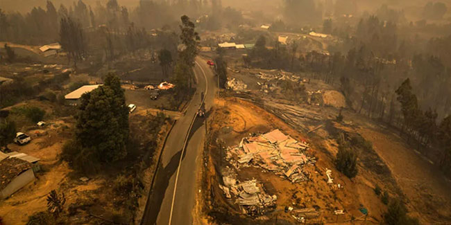 Şili'deki orman yangınlarında can kaybı artıyor