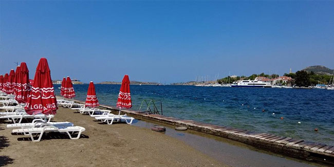 İzmir Foça'da turizmi denizanası vurdu, plajlar boş kaldı