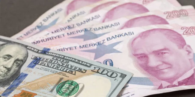 Türkiye'nin brüt dış borcu 442,9 milyar dolar