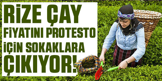 Rize Çay Fiyatını Protesto İçin Sokaklara Çıkıyor!