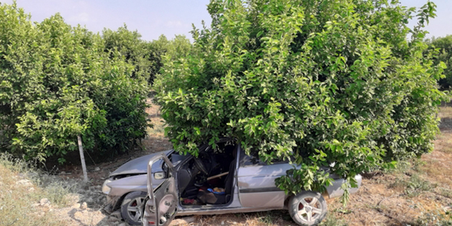 Kozan’da bir kişi portakal bahçesinde ölü bulundu