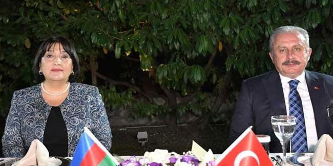 TBMM Başkanı Şentop, Azerbaycan Meclis Başkanı ile görüştü