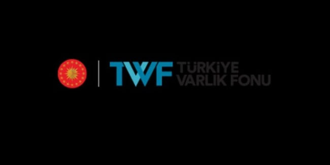  Türkiye Varlık Fonu'nu yabancı şirket denetleyecek