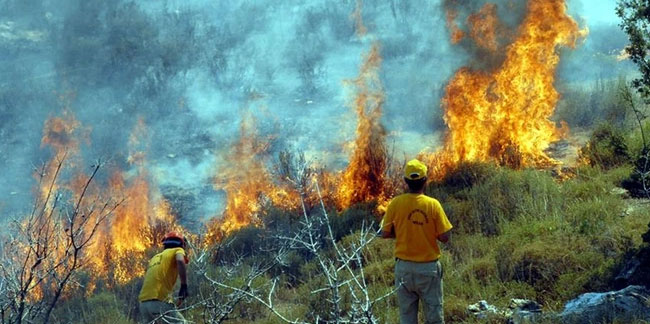 Muğla'da 36 noktada yangın çıktı! Orman Bölge Müdürlüğü sebebini açıkladı