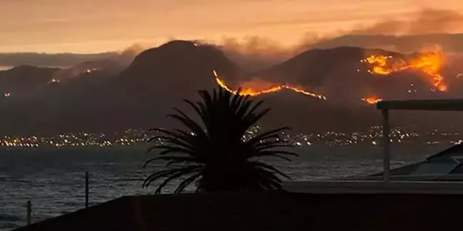 Güney Afrika Cumhuriyeti'nde orman yangını!