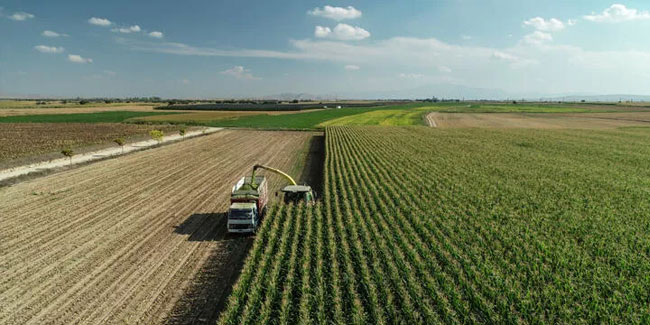 Tarım-ÜFE yıllık yüzde 84 arttı