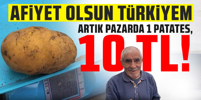 Önce soğan şimdi de patates ekonomisi: Bir patates 10 lira oldu!