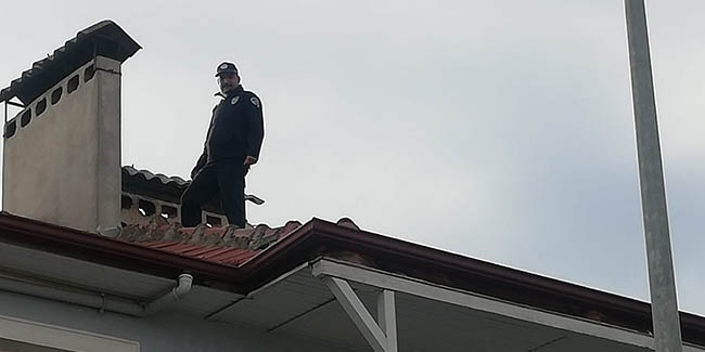 Çatıda mahsur kalan kediyi itfaiye ekipleri kurtardı