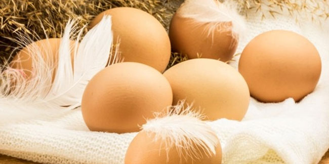 Rüyada yumurta görmek ne anlama gelir? Rüyadaki yumurta neye işaret eder?