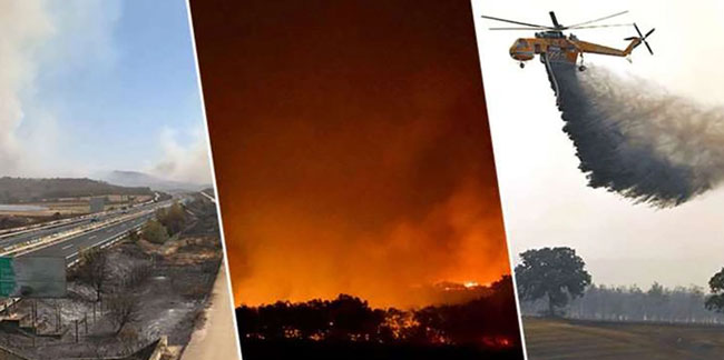 Korkunç! Yunanistan'da yanan ormanda 18 kişinin cesedi bulundu! Kaçak göçmenlermiş