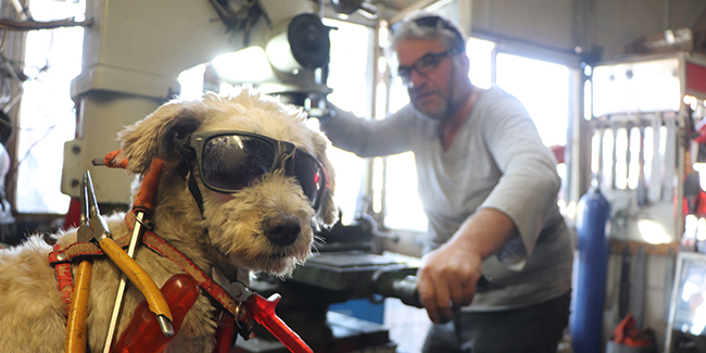 40 yıllık motor ustasının en büyük yardımcısı ’Kafe’ isimli köpeği