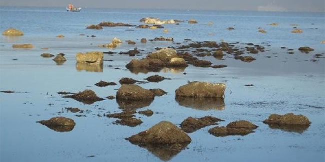 Deniz çekildi, antik limanın kalıntıları su yüzeyine çıktı