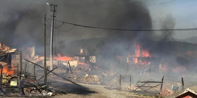 Köyde korkutan yangın: Çok sayıda ev yanıyor!