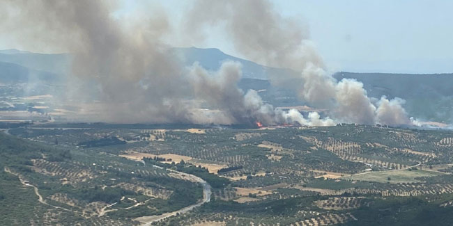 Foça'daki orman yangını kontrol altına alındı