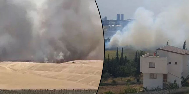 Diyarbakır ve Adana'da korkutan yangınlar