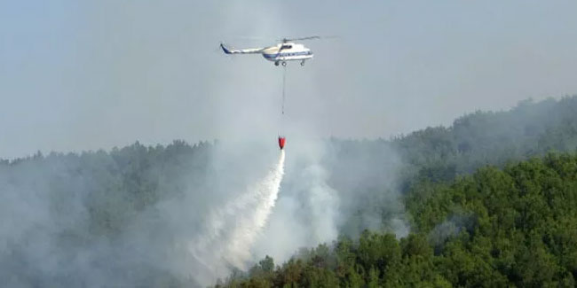 Edirne'de orman yangını! 4 kişi aranıyor