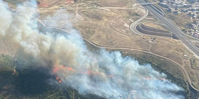 İzmir'de orman yangını! 10 hektar alan kül oldu