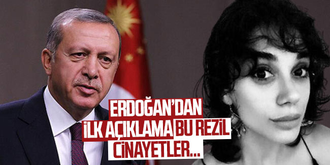 Erdoğan'dan Pınar Gültekin açıklaması