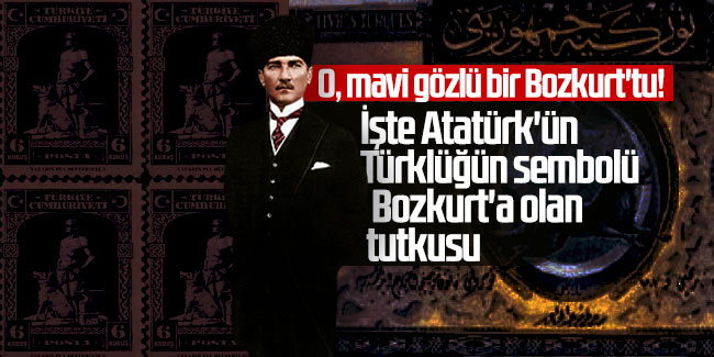 O, mavi gözlü bir Bozkurt'tu! İşte Atatürk'ün Türklüğün sembolü Bozkurt'a olan tutkusu 