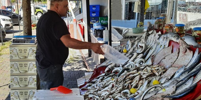 Balıkçılar isyanda: Palamut zengin balığı oldu
