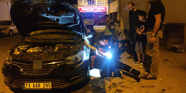 Şırnak'ta ilginç kedi kurtarma operasyonu: Kedi sesi açılarak araç kaputundan çıkartmaya çalıştılar