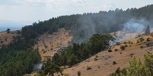 Bolu'da 1 hektarlık orman yangında zarar gördü