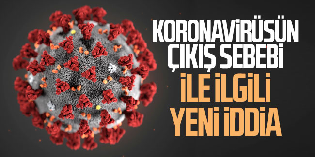 Korona virüsün çıkış sebebi ile ilgili yeni iddia  