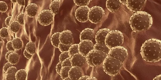 Gizemli hepatit virüsünde küresel salgın şüphesi