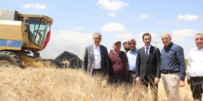 Karaman'da buğday ve arpada rekolte arttı