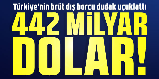 Türkiye'nin brüt dış borcu dudak uçuklattı: Tam 442 milyar dolar!