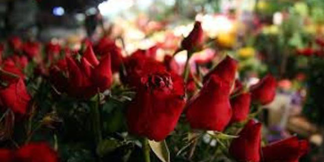 Anneler Günü'nde çiçek satışları 10 kat arttı