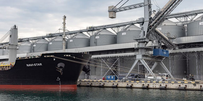 Tahıl yüklü o gemi dün Odessa'dan hareket etmişti: İstanbul'a ulaştı