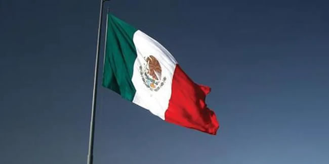 Meksika'da 6 ayda 17 binden fazla cinayet işlendi